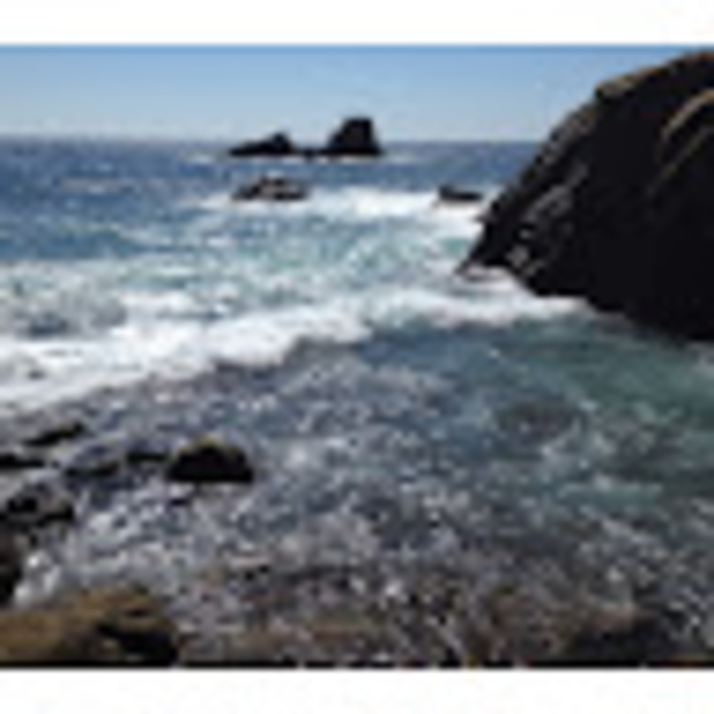 Meet your Posher, Charmaine